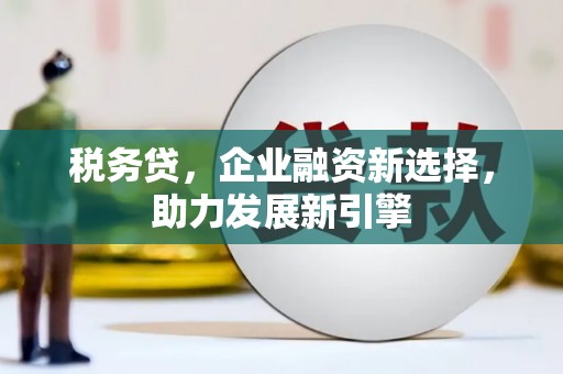 息县税务贷，企业融资新选择，助力发展新引擎