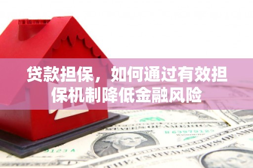 息县贷款担保，如何通过有效担保机制降低金融风险