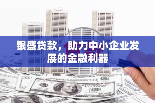息县银盛贷款，助力中小企业发展的金融利器