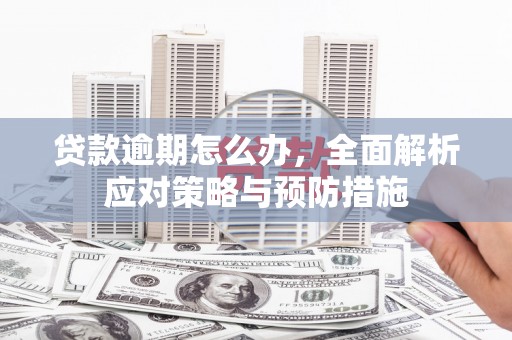 息县贷款逾期怎么办，全面解析应对策略与预防措施