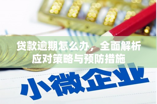 息县贷款逾期怎么办，全面解析应对策略与预防措施