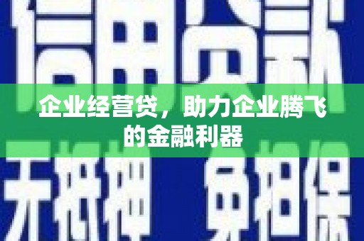 息县企业经营贷，助力企业腾飞的金融利器