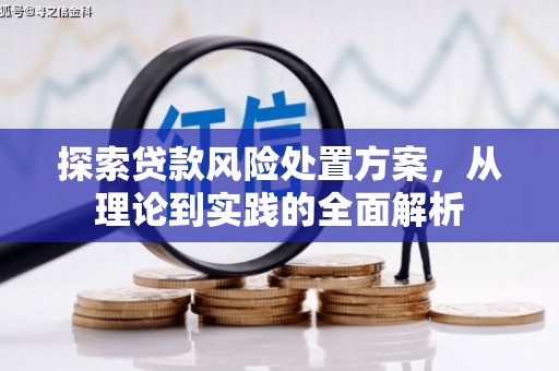 息县探索贷款风险处置方案，从理论到实践的全面解析