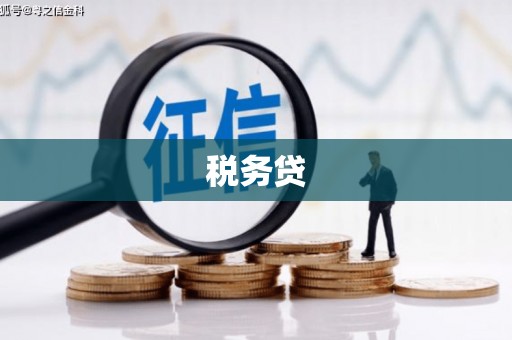 息县税务贷
