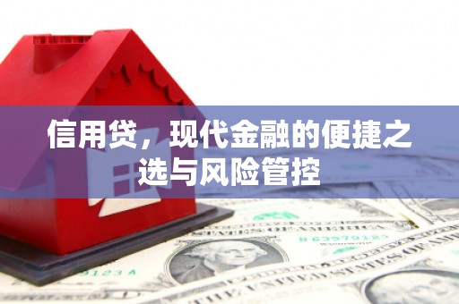 息县信用贷，现代金融的便捷之选与风险管控