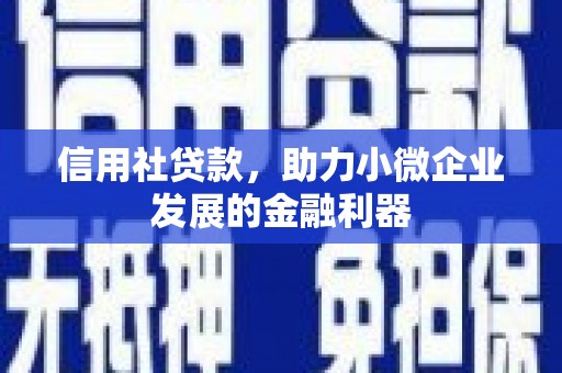 息县信用社贷款，助力小微企业发展的金融利器