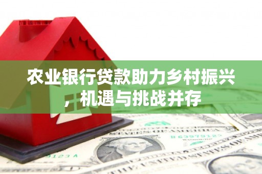 息县农业银行贷款助力乡村振兴，机遇与挑战并存