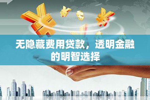 息县无隐藏费用贷款，透明金融的明智选择
