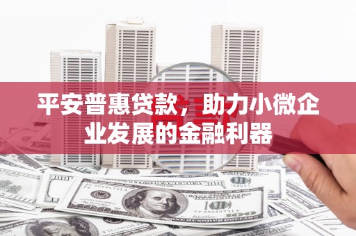 息县平安普惠贷款，助力小微企业发展的金融利器