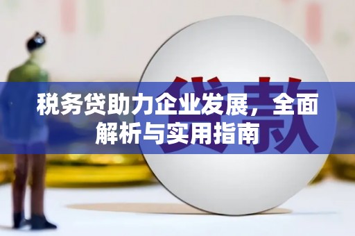 息县税务贷助力企业发展，全面解析与实用指南
