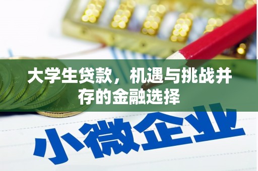 息县大学生贷款，机遇与挑战并存的金融选择