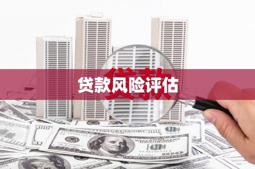 息县贷款风险评估