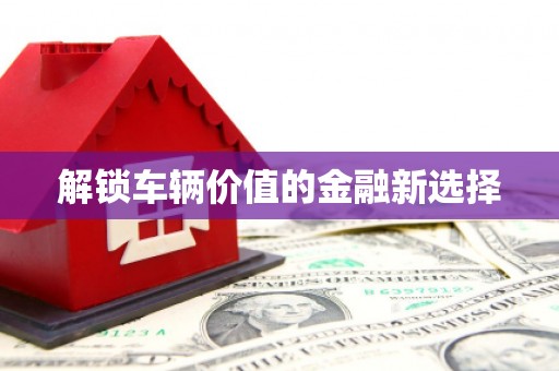 息县解锁车辆价值的金融新选择