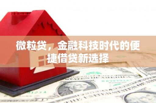 息县微粒贷，金融科技时代的便捷借贷新选择