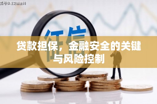 息县贷款担保，金融安全的关键与风险控制