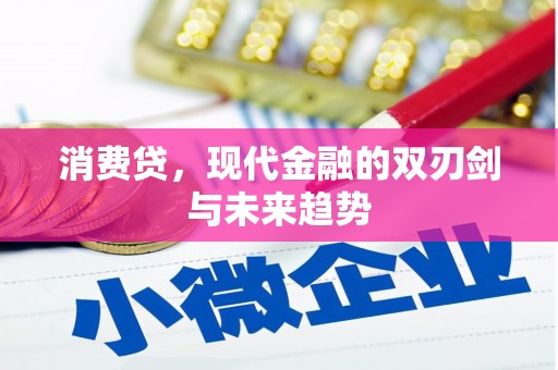 息县消费贷，现代金融的双刃剑与未来趋势