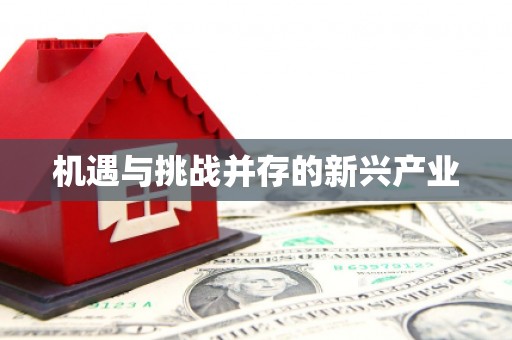 息县机遇与挑战并存的新兴产业