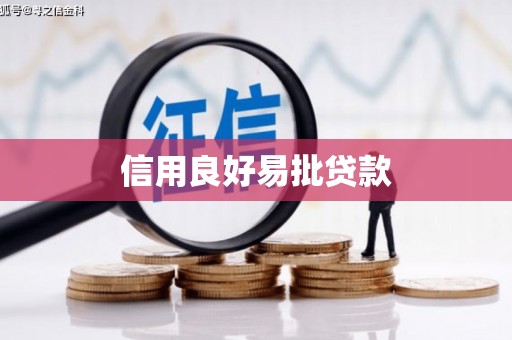 息县信用良好易批贷款