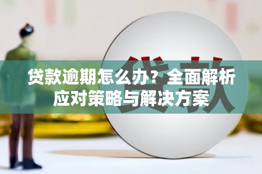 息县贷款逾期怎么办？全面解析应对策略与解决方案