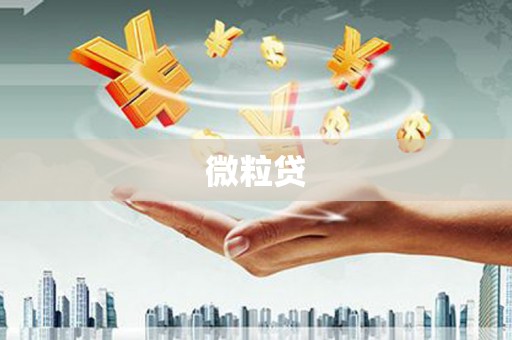 息县微粒贷