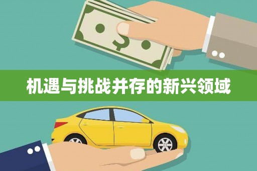 息县机遇与挑战并存的新兴领域