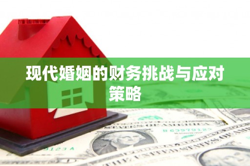 息县现代婚姻的财务挑战与应对策略
