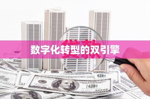 息县数字化转型的双引擎