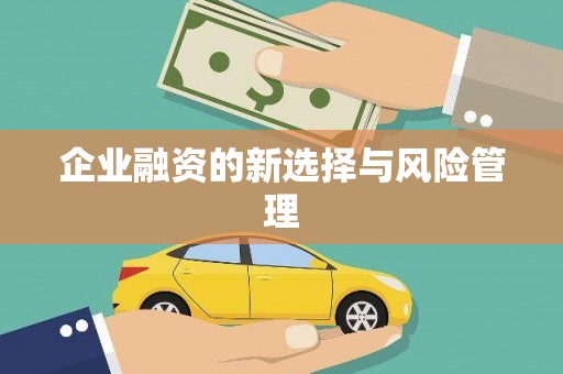 息县企业融资的新选择与风险管理