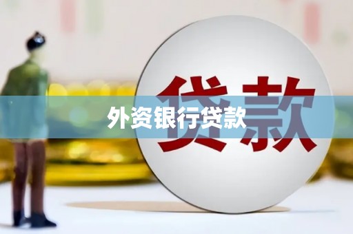 息县外资银行贷款