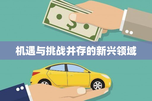息县机遇与挑战并存的新兴领域