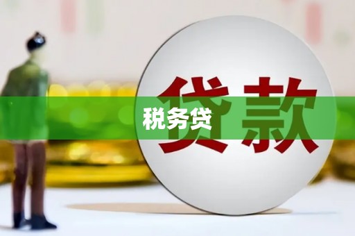 息县税务贷