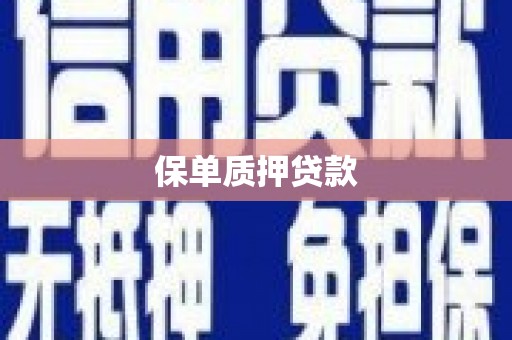 息县保单质押贷款
