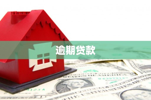 息县逾期贷款