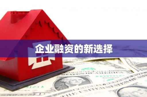息县企业融资的新选择