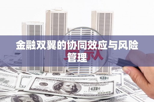 息县金融双翼的协同效应与风险管理
