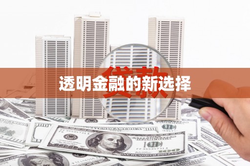 息县透明金融的新选择