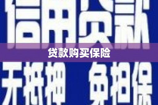 息县贷款购买保险