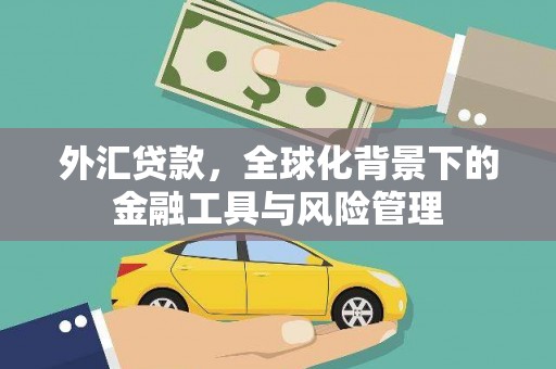 息县外汇贷款，全球化背景下的金融工具与风险管理