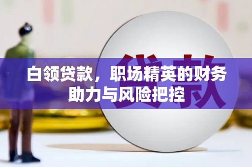 息县白领贷款，职场精英的财务助力与风险把控